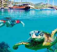 Cel mai bun scufundări în Turcia