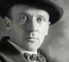 M. A. Bulgakov, "Maestrul și Margarita": genul operei, istoria creației și trăsăturile