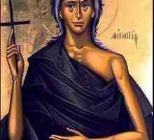 Maria din Egipt. Icon și scurtă istorie a vieții pământești