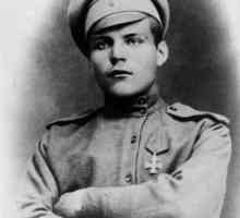 Mareșalul Malinovski Rodion Yakovlevich: biografie, premii și fapte interesante