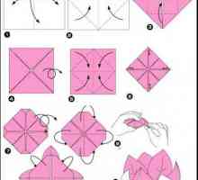 Master class, cum se face lotus origami