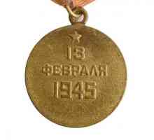 Medalia "Pentru capturarea Budapestei": descriere și istorie