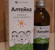 Medicamentul "Alteika" - sirop de tuse pentru adulți și copii