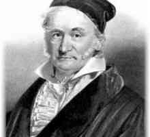 Metoda Gauss: exemple de soluții și cazuri speciale