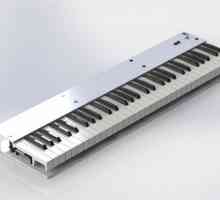 MIDI tastatură - domeniul de aplicare și caracteristicile principale