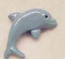 Dolphin minunat de plastilină