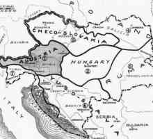 Tratatul pașnic al Trianonului cu Ungaria: condiții și consecințe