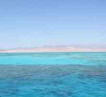 Marea Egiptului: roșu și mediteranean