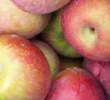 Este posibil să înghețăm merele pentru iarna și ce să gătească?