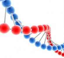 Afecțiunile multifactoriale, genetica și prevalența acestora