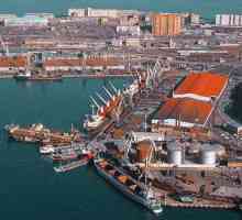 Murmansk Portul maritim comercial: istorie, descriere, fotografie