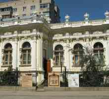 Muzee din Rostov-on-Don: adrese și descrieri