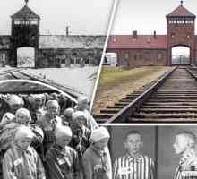 Muzeul Auschwitz. Muzeul Auschwitz-Birkenau