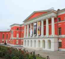 Muzeul de istorie rusă contemporană. Un muzeu care păstrează memoria generațiilor