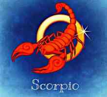 Omul Scorpion-Tigru: Caracteristici și caracteristici personale