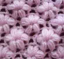 Ce ar trebui să caut atunci când cărămizile luxuriante sunt tricotate? Cârlig, reguli și modalități…