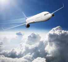 La ce altitudine zboară un avion de pasageri? Viteza de zbor a liniei
