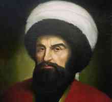 Erou național al popoarelor caucaziene Imam Shamil (biografie)