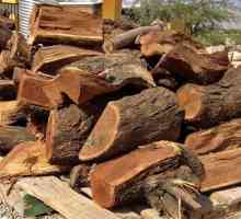 Se taie lemnul: sensul frazeologiei, originea, sinonimele