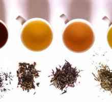 Băuturi de ceai: beneficii, rețete