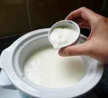 "Narine" (lapte): instrucțiuni pentru utilizarea lactobacililor în casă