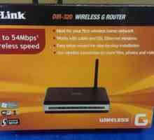 Setările routerului D-Link DIR-320. Instrucțiuni, parolă, conexiune