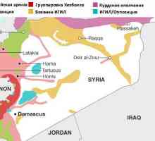 Ofensiva armatei siriene. Operațiuni speciale în Siria