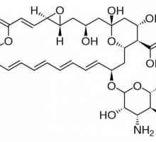Natamycin: instrucțiuni de utilizare. Unguent, supozitoare și tablete "Natamycin"