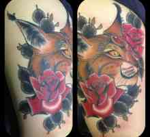 Un pic despre tatuaj. Lynx: sensul unui tatuaj