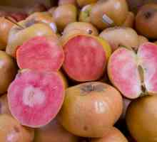 Varietate neobișnuită de mere de perle roz