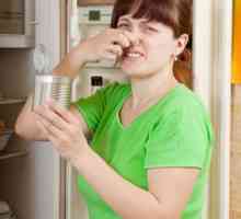 Câteva sfaturi despre cum să scapi de mirosul din frigider