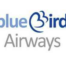 Excursie incredibilă la Creta cu Blue Bird Airways