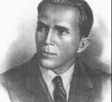 Nikolai Kuznetsov (scout): biografie, fotografie