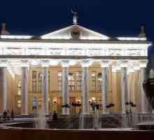 Teatrul de teatru Novokuznetsk: istorie, repertoriu, trupa