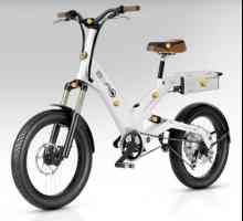 Un nou tip de vehicul este o bicicletă electrică. Recenzii de utilizatori
