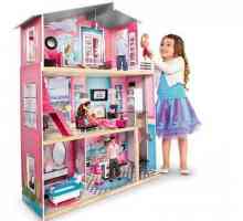 Cum sa faci o casa pentru Barbie