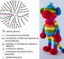 Maimuță croșetată: diagrama și descrierea. Tricotate jucărie de maimuță