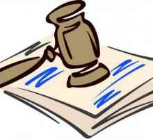 Recurs împotriva deciziei unui magistrat: termeni și procedură
