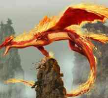 Dragonii de foc - caracteristicile caracterului