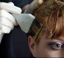 Vopsirea părului: tehnologia de vopsire a părului cenușiu
