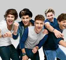 One Direction: biografia celei mai populare băieți din zilele noastre