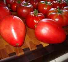 Descriere și recenzii: tomate `mazarini`
