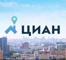 Descrierea și evaluarea agențiilor imobiliare din Moscova