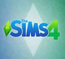 Descrierea jocului `The Sims 4`. Cum să schimbi limba de la engleză la rusă