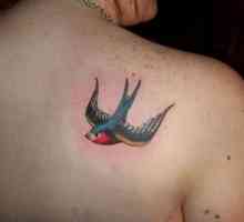 Determinați valoarea tatuajului. Birdul ca simbol al libertății