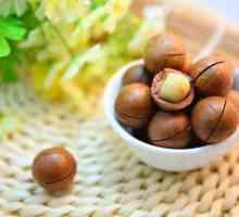 Macadamia Nut: proprietăți utile, gust, aplicare
