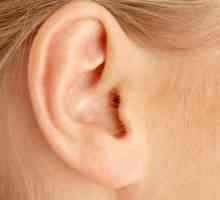 Organul auditiv: structura anatomică și funcțiile principalelor departamente