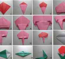 Origami `rose`: scheme de asamblare