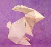 Origami `Bunny` și iepure modular. scheme