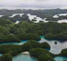 Insulele Palau din Oceanul Pacific